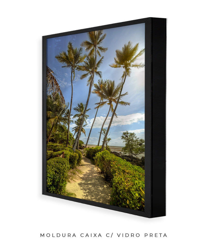Quadro Decorativo Portais - Coqueiros