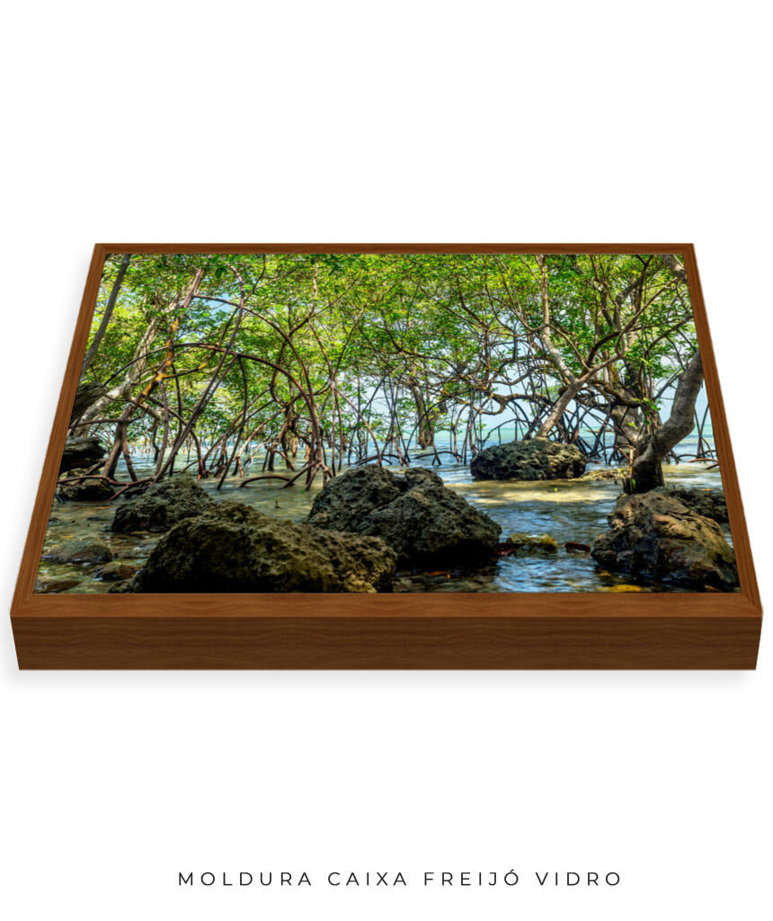 Quadro Decorativo Árvores e Galhos - Pedras e árvores