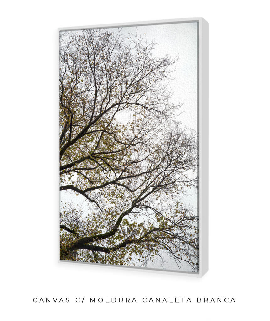 Quadro Decorativo Árvores e Galhos - Folhas secas Vertical