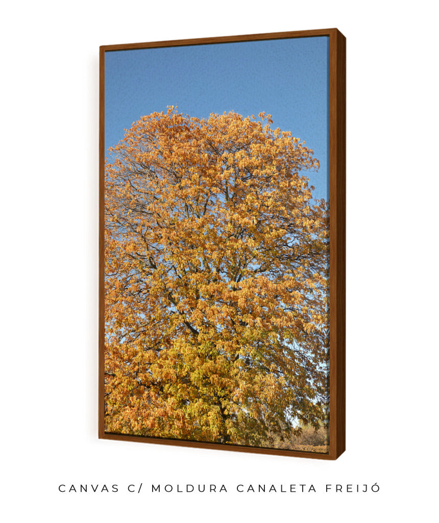 Quadro Decorativo Árvore Amarela