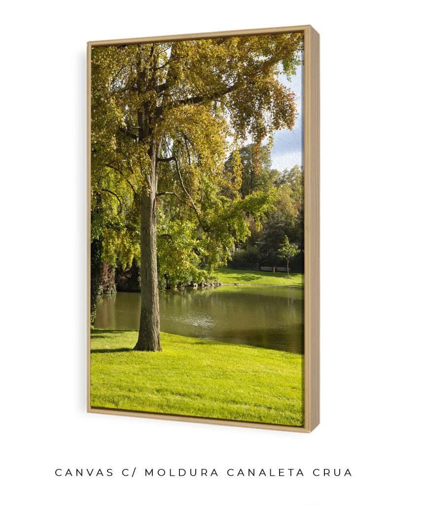 Quadro Decorativo Portais Natureza