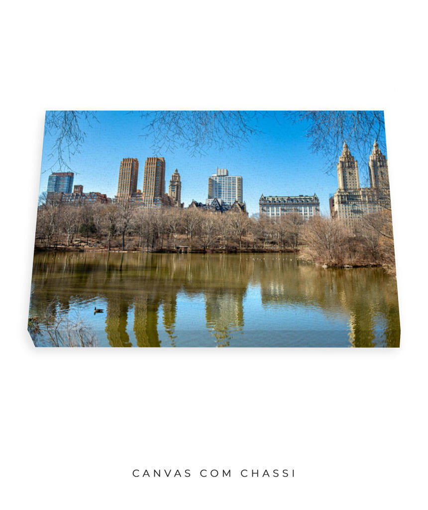 Quadro Decorativo Nova York - Prédios Central Park