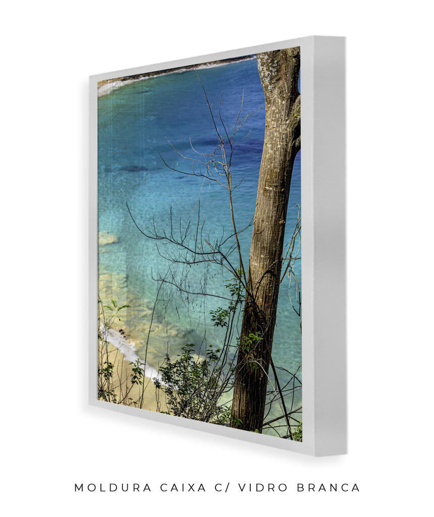 Quadro Decorativo Noronha - Mar Vertical