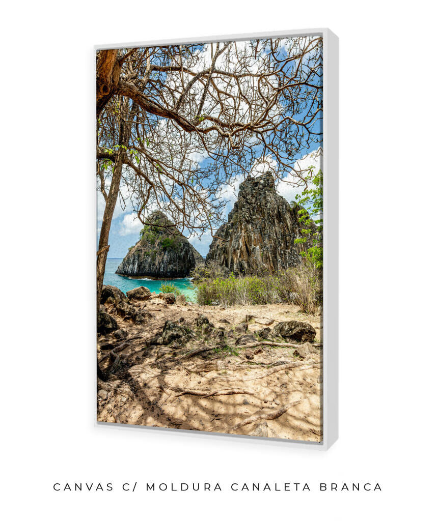Quadro Decorativo Noronha - Morro Dois Irmãos - Vertical