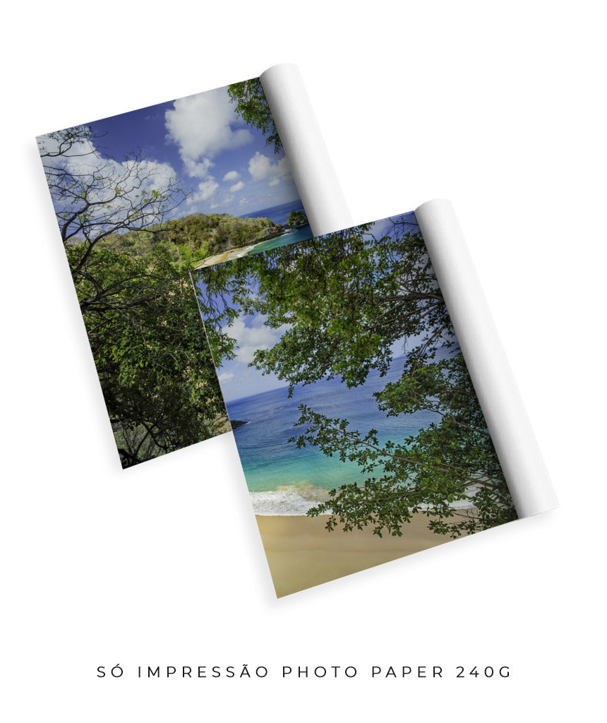 Quadro Decorativo Praia e mar,galhos verdes - Dupla