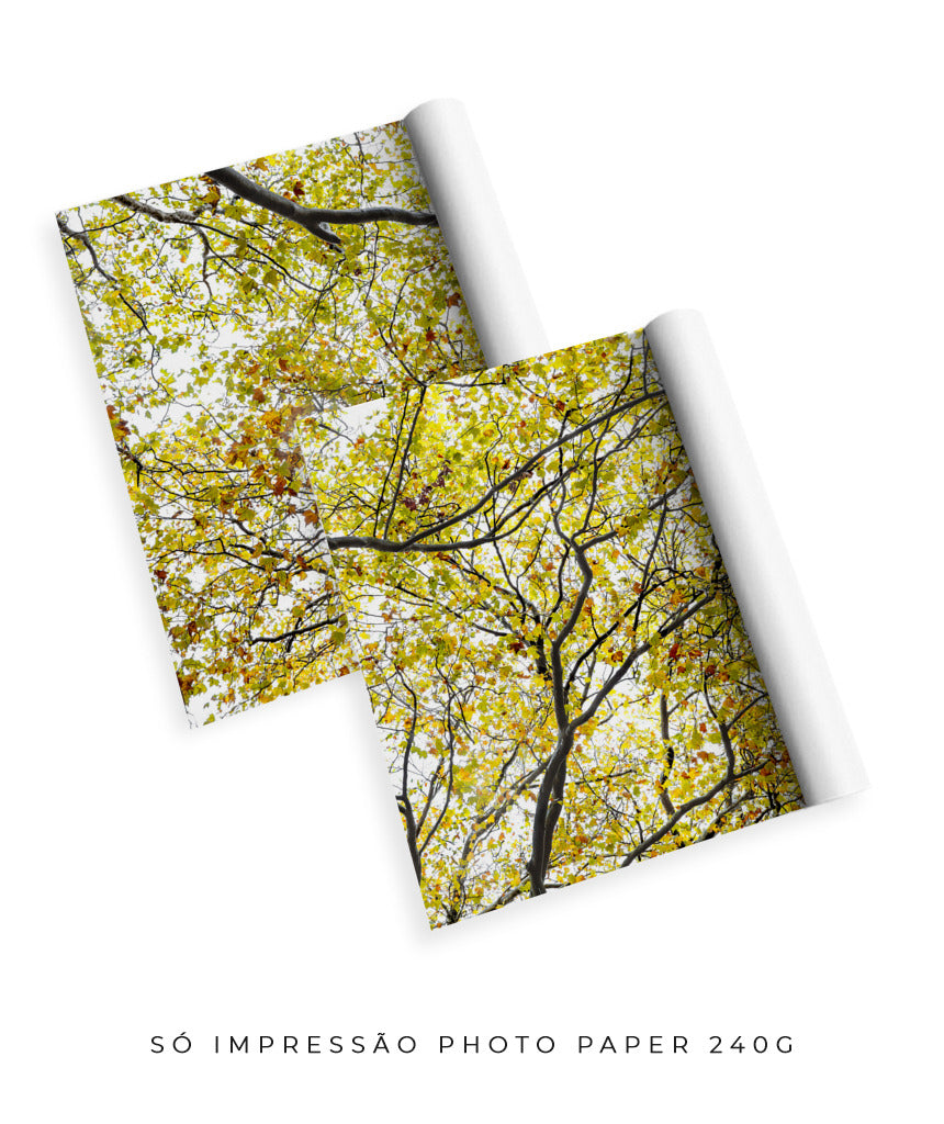 Quadro Decorativo Árvore com Galhos Verdes-Dupla