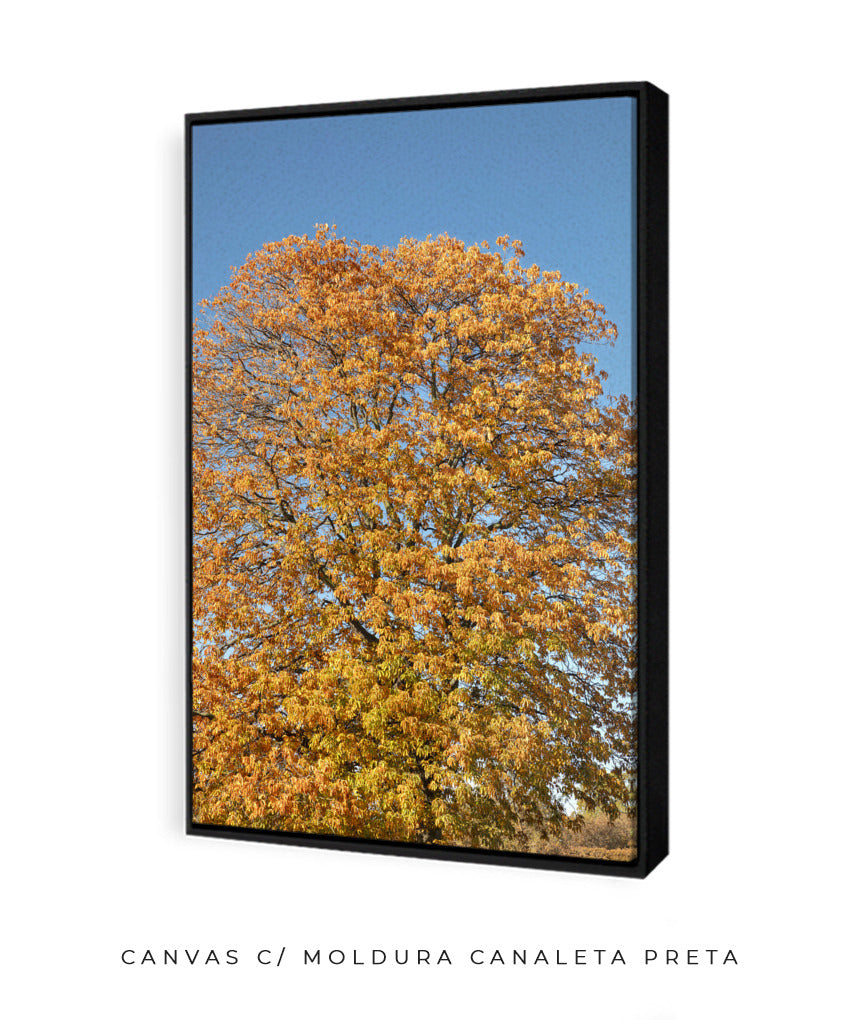 Quadro Decorativo Árvore Amarela