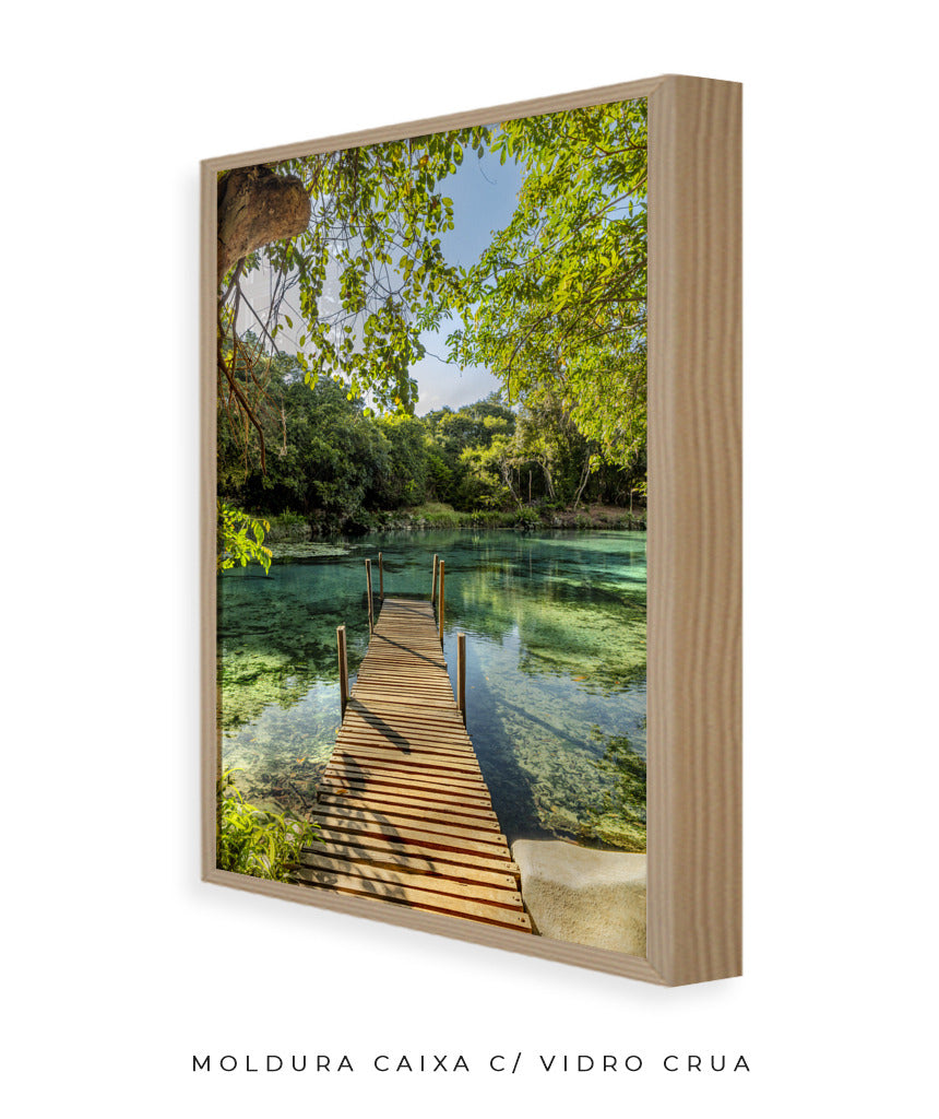 Quadro Decorativo Chapada Diamantina - Ponte para Paraíso-Vertical