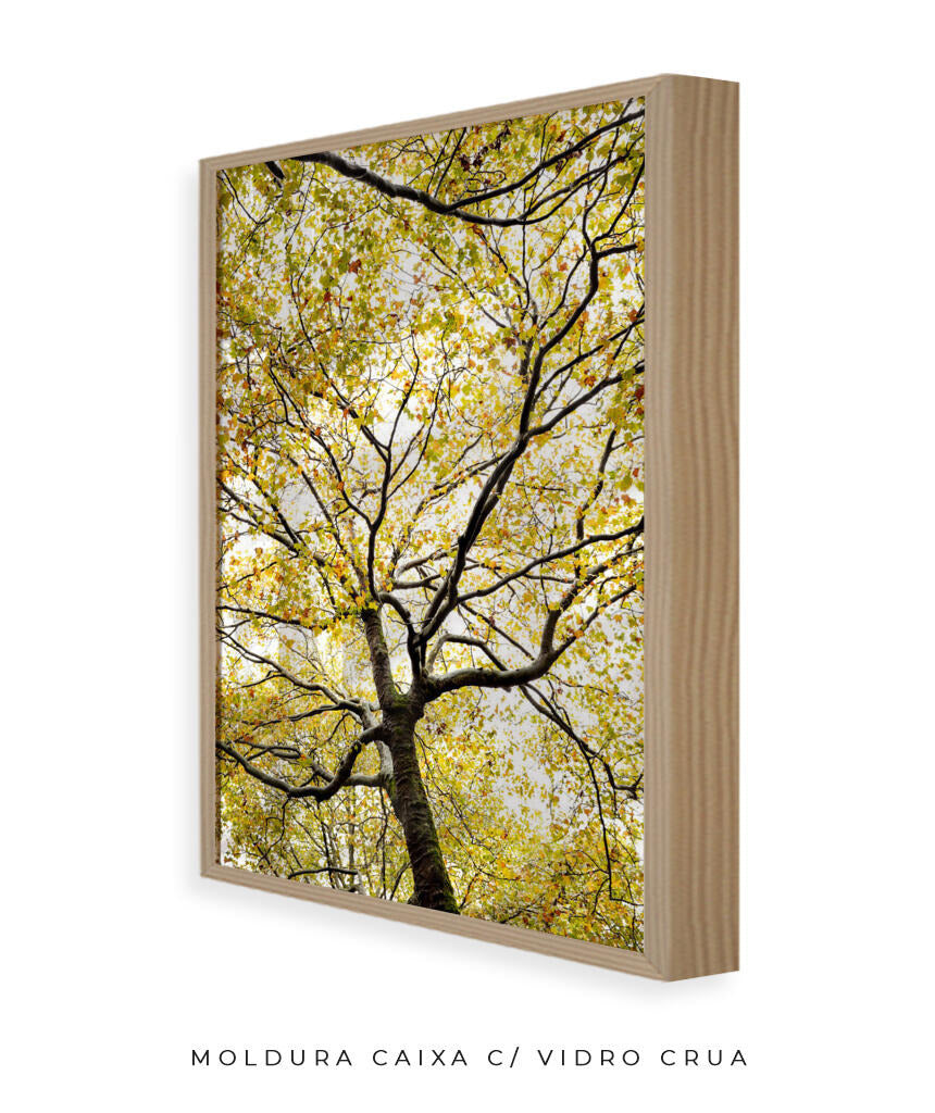 Quadro Decorativo Árvores e Galhos - Folhas verdes Vertical