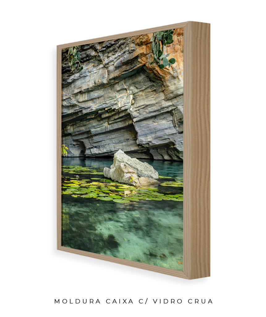Quadro Decorativo Chapada Diamantina -Vitória Régia- Vertical