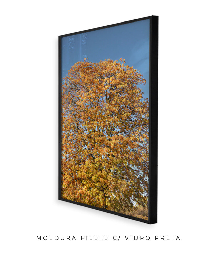 Quadro Decorativo Árvore Amarela
