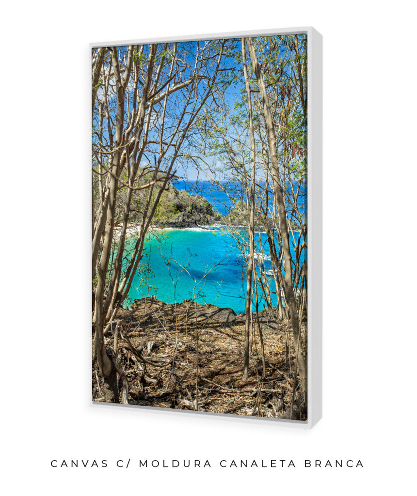 Quadro Decorativo Portais Praia
