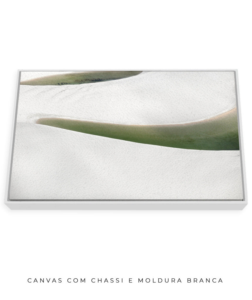 Quadro Decorativo Abstrato e curvas -Tons Branco, Cinza e Verde - Horizontal