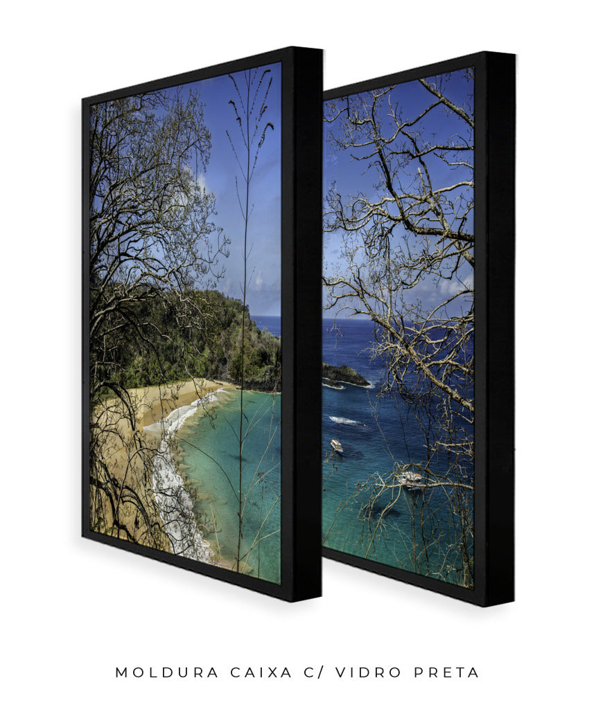 Quadro Decorativo Praia, Mar e Galhos Secos -Dupla