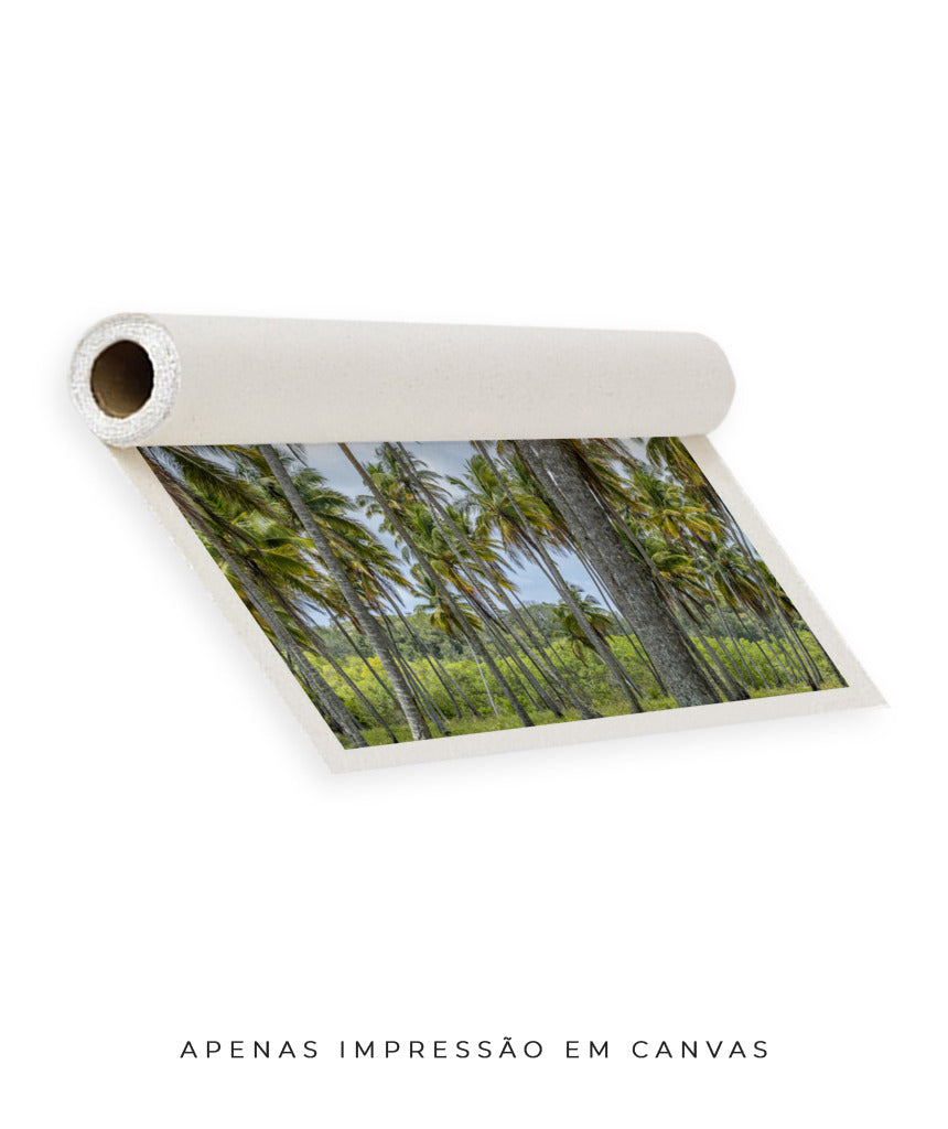 Quadro Decorativo Coqueiros Sépia - Horizontal