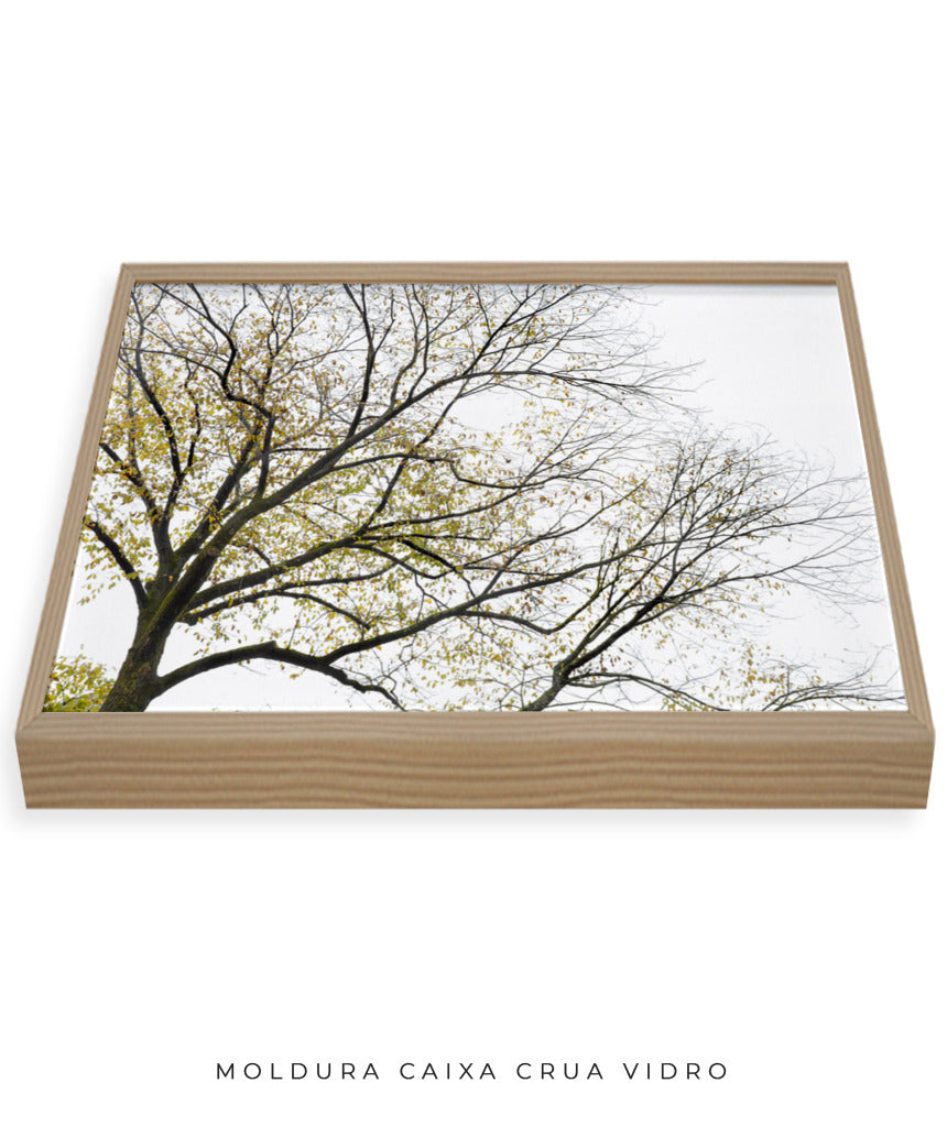 Quadro Decorativo Galhos Secos - Horizontal