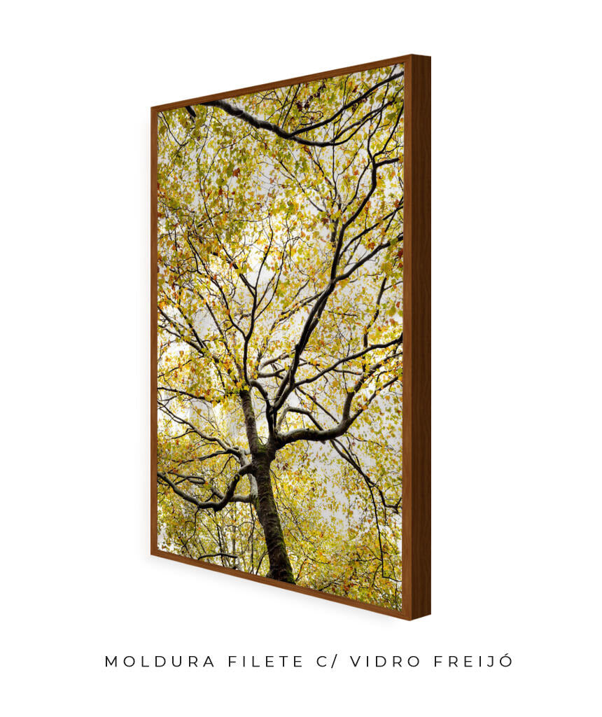 Quadro Decorativo Árvores e Galhos - Folhas verdes Vertical