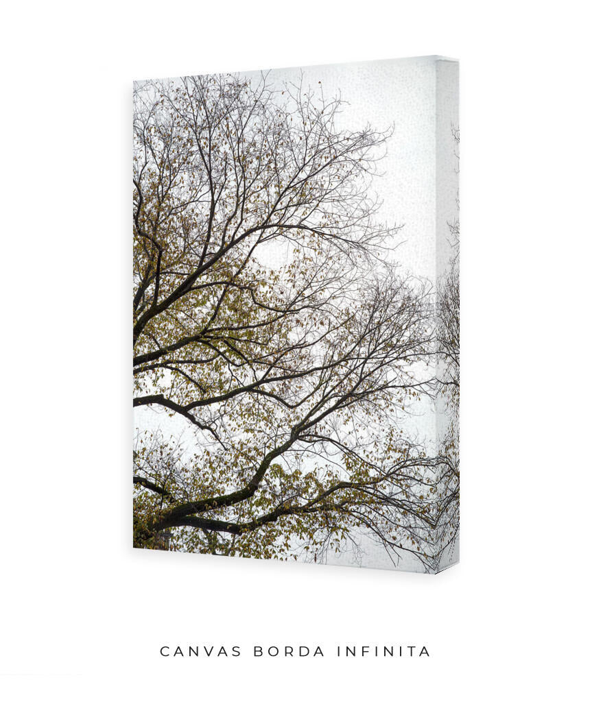 Quadro Decorativo Árvores e Galhos - Folhas secas Vertical