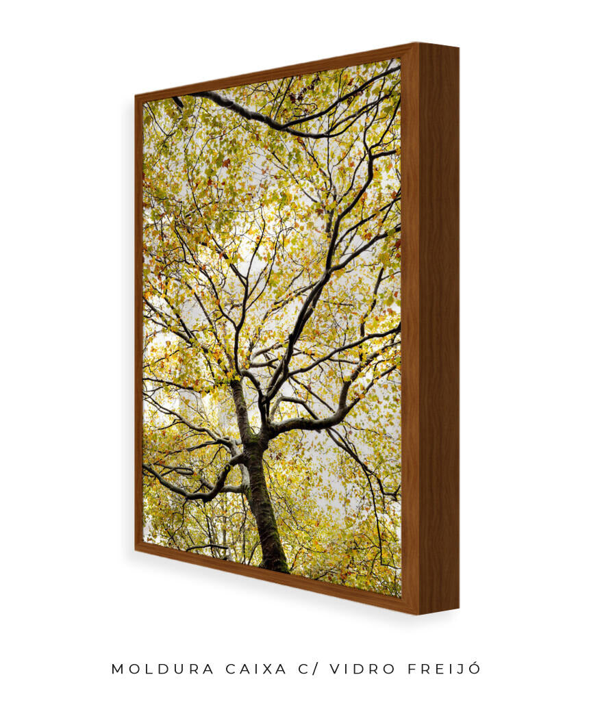 Quadro Decorativo Árvores e Galhos - Folhas verdes Vertical