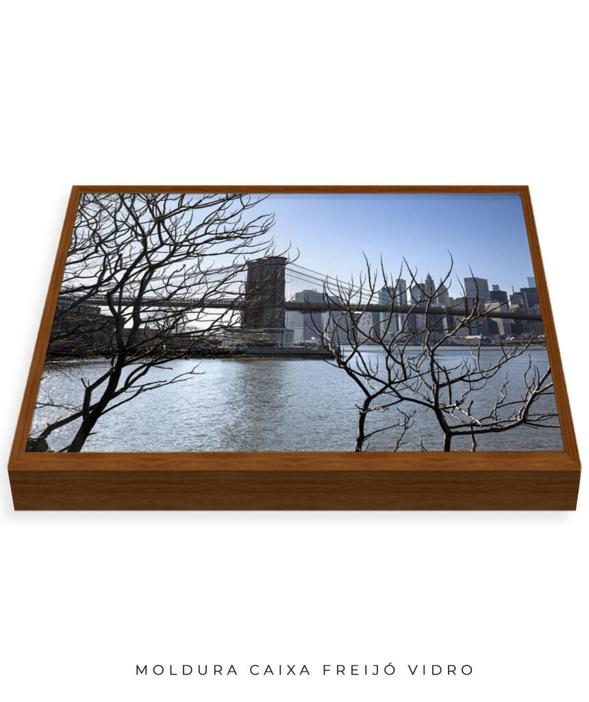 Quadro Decorativo Lago de Nova York