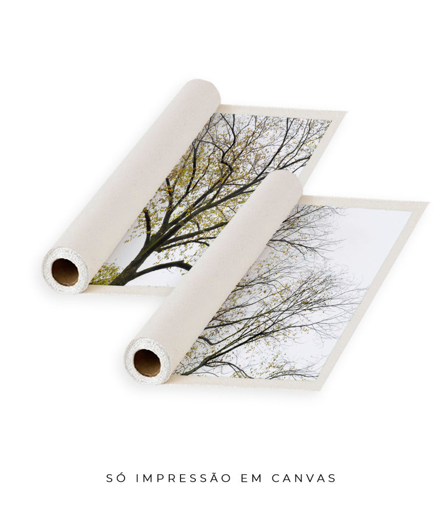 Quadro Decorativo Galhos Secos -Dupla