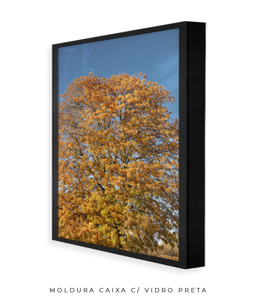 Quadro Decorativo Árvore Amarela
