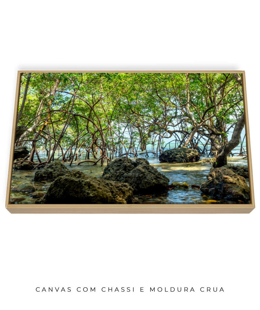 Quadro Decorativo Árvores e Galhos - Pedras e árvores