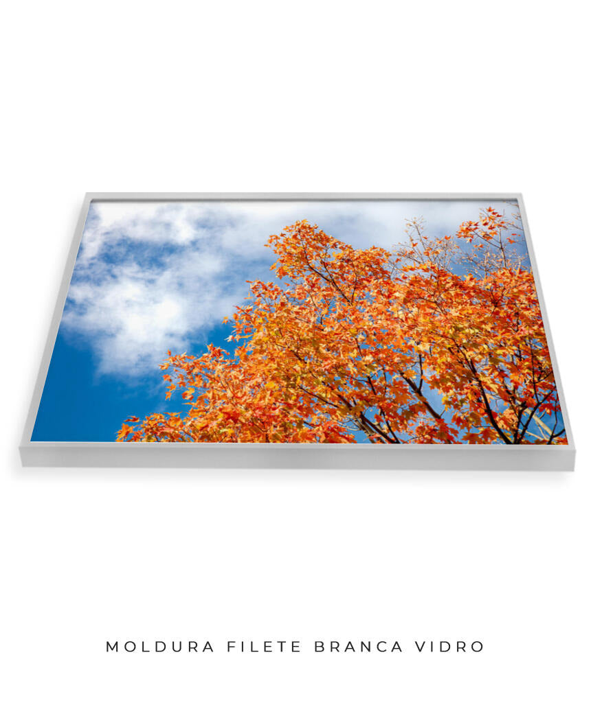 Quadro Decorativo Árvores e Galhos - Folhas laranjas