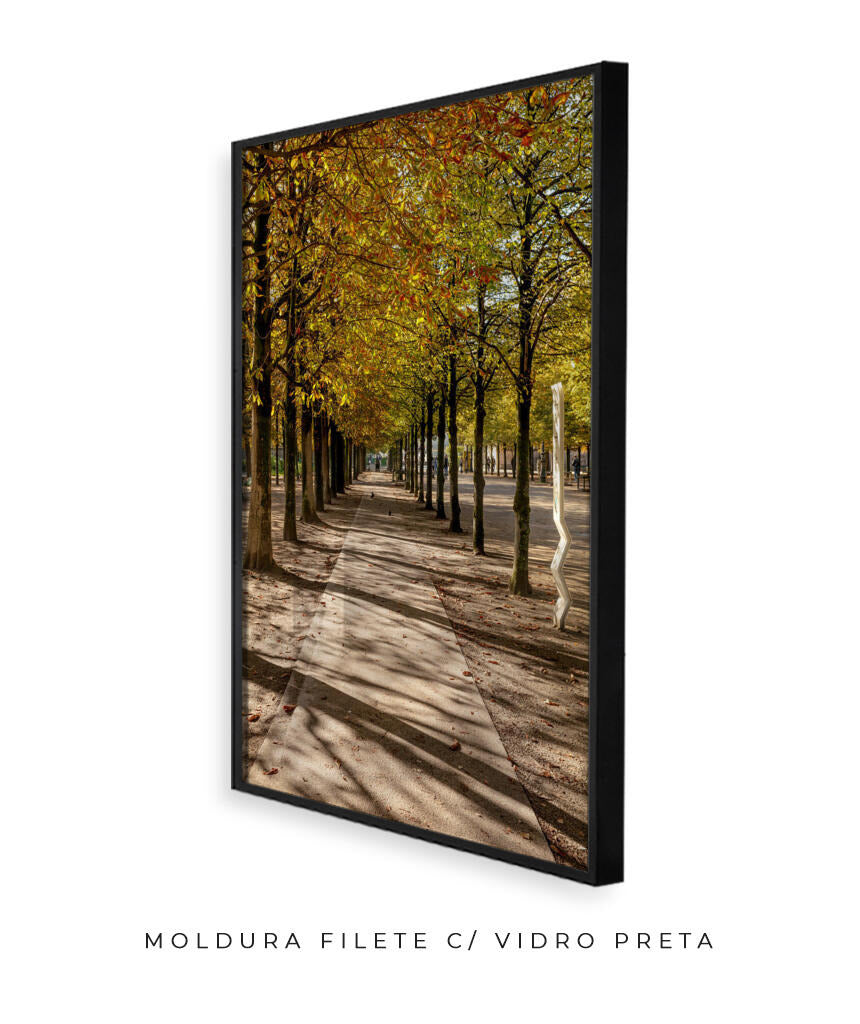 Quadro Decorativo Árvores e Galhos - Espaço para caminhada