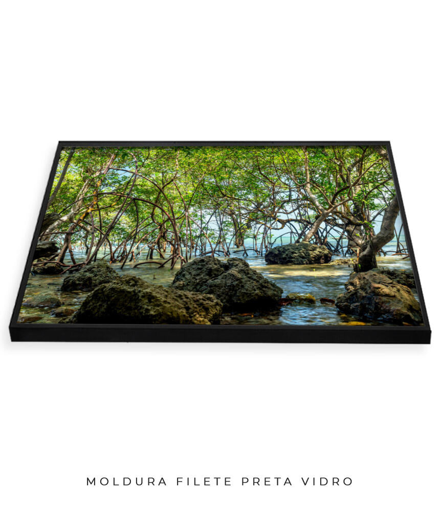 Quadro Decorativo Árvores e Galhos - Pedras e árvores
