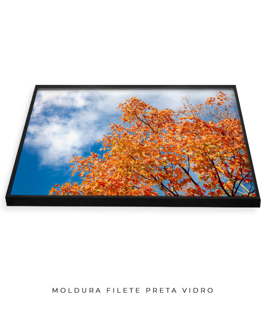 Quadro Decorativo Árvores e Galhos - Folhas laranjas