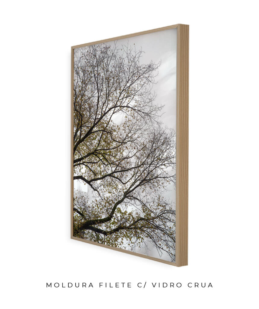 Quadro Decorativo Árvores e Galhos - Folhas secas Vertical