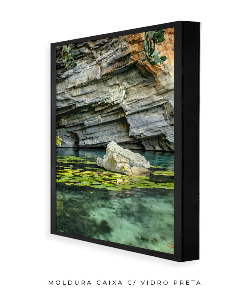Quadro Decorativo Chapada Diamantina -Vitória Régia- Vertical