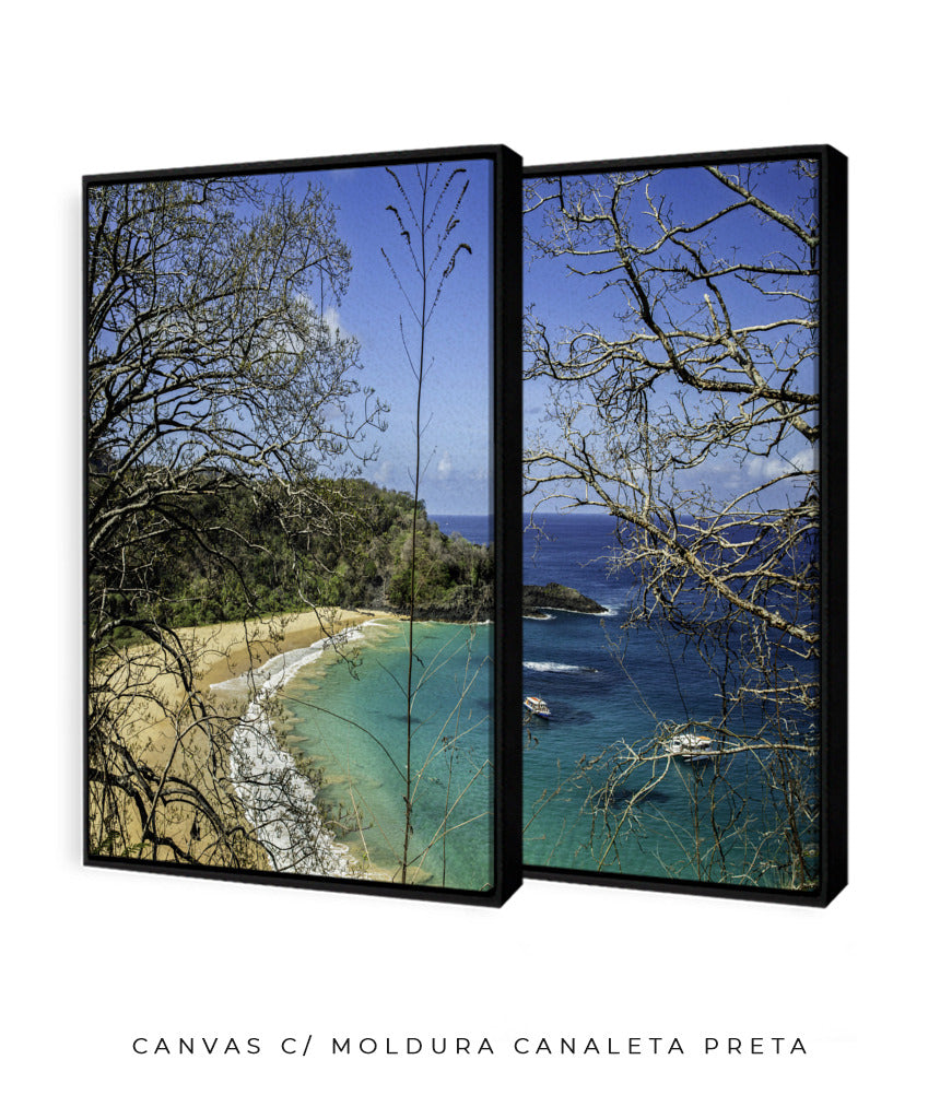 Quadro Decorativo Praia, Mar e Galhos Secos -Dupla