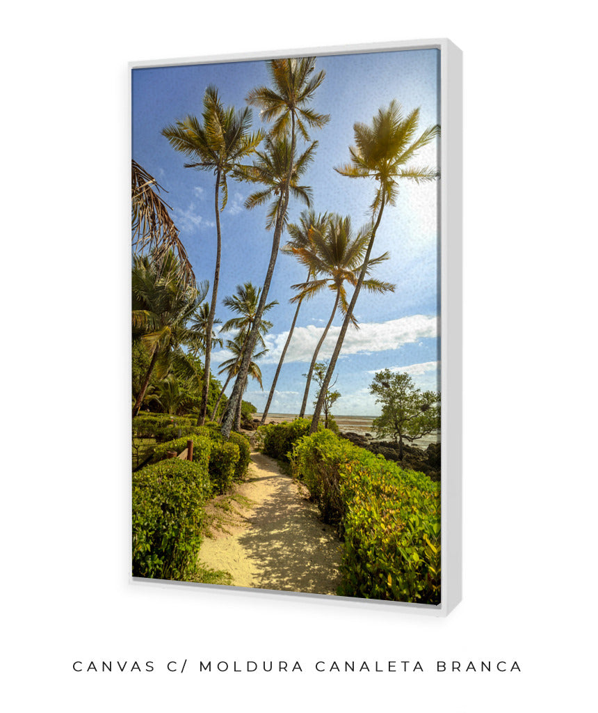 Quadro Decorativo Portais - Coqueiros