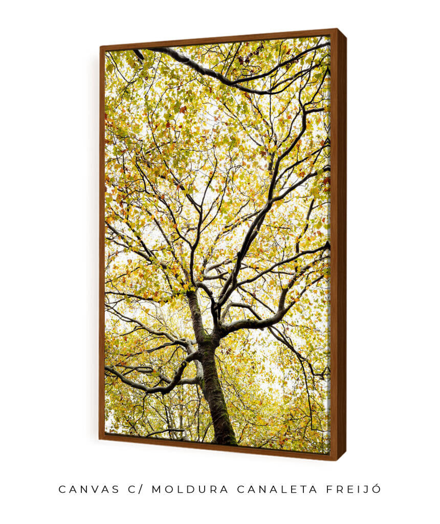 Quadro Decorativo Árvores e Galhos - Folhas verdes Vertical