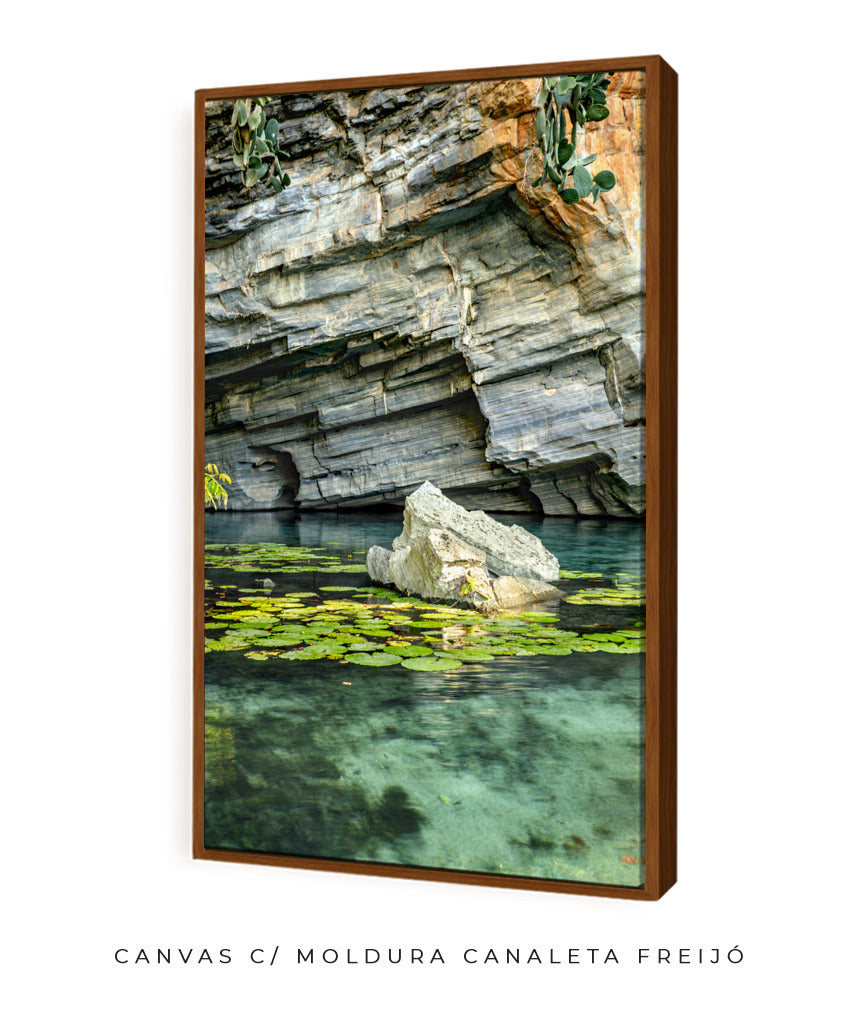 Quadro Decorativo Chapada Diamantina -Vitória Régia- Vertical