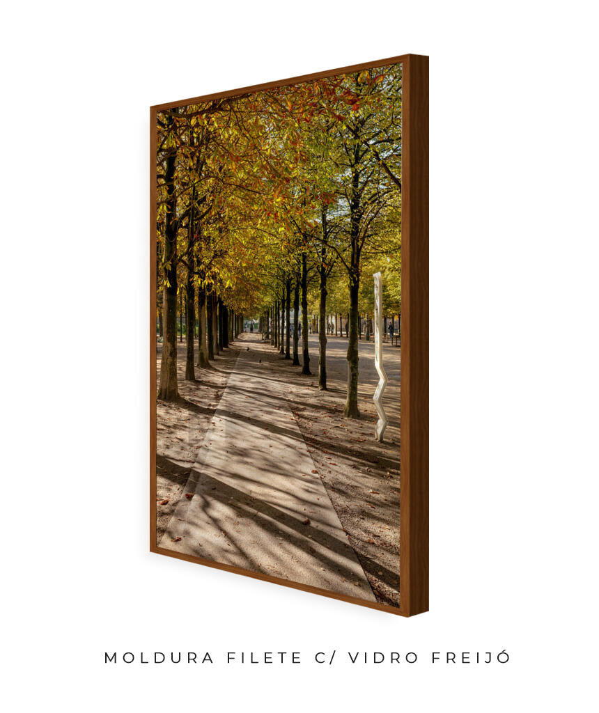Quadro Decorativo Árvores e Galhos - Espaço para caminhada