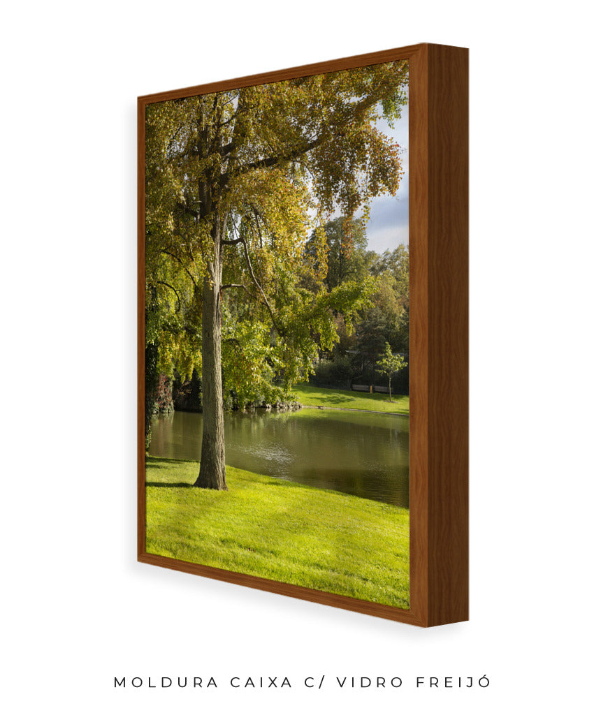 Quadro Decorativo Portais Natureza