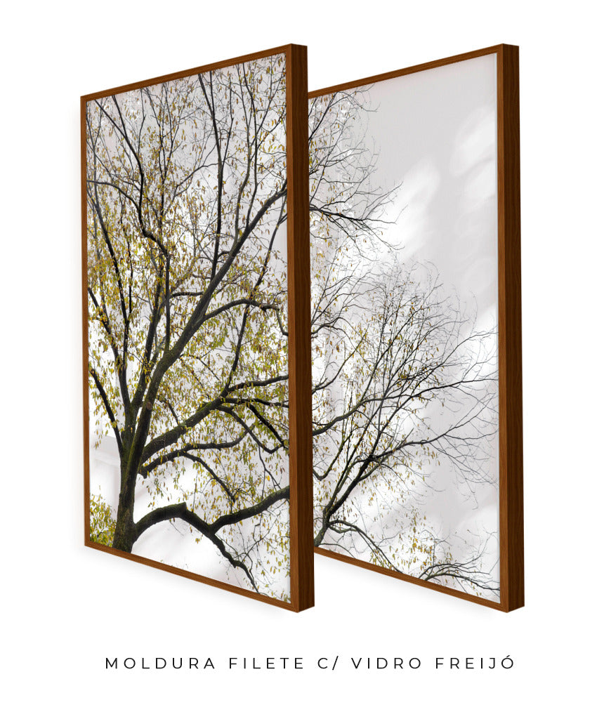 Quadro Decorativo Galhos Secos -Dupla