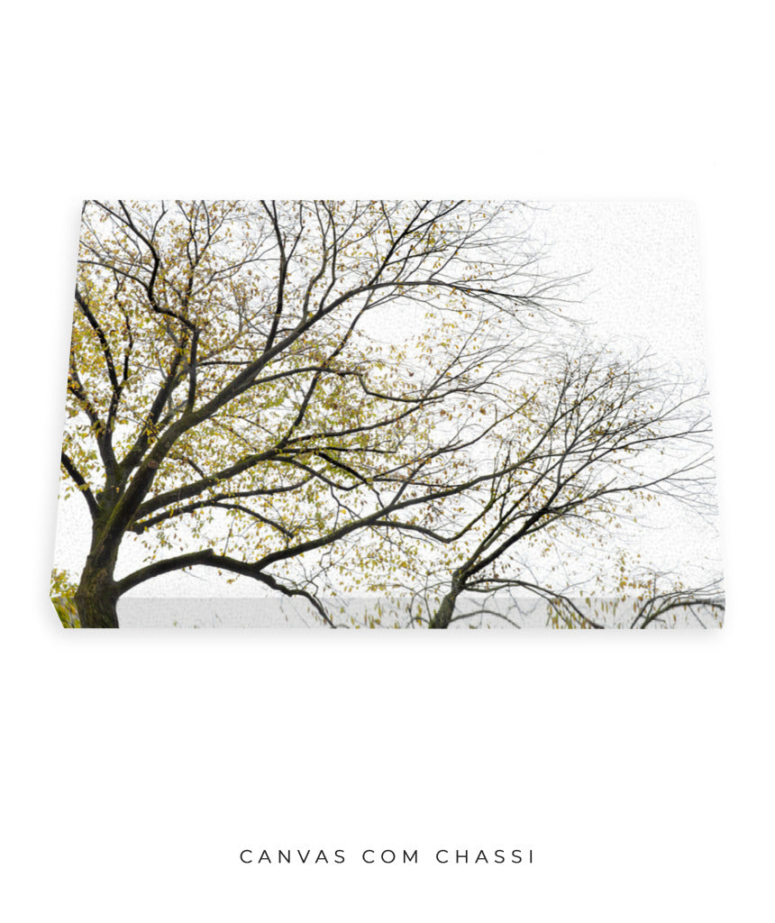 Quadro Decorativo Galhos Secos - Horizontal