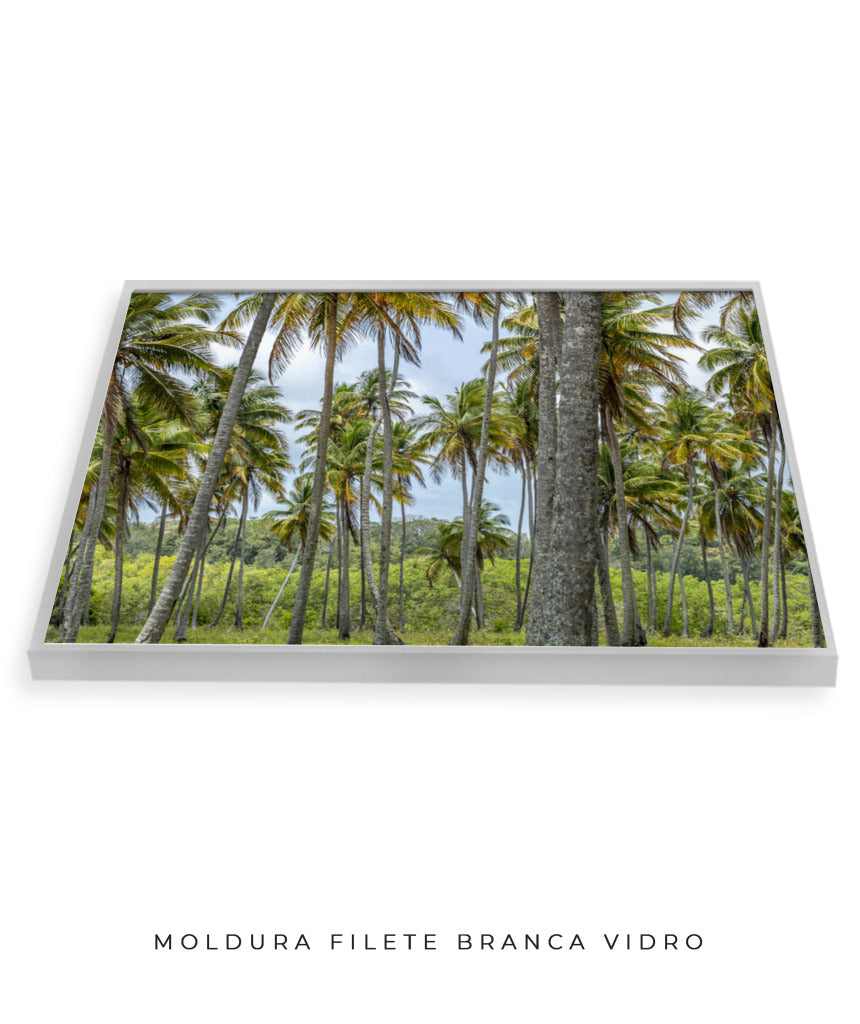 Quadro Decorativo Coqueiros Sépia - Horizontal