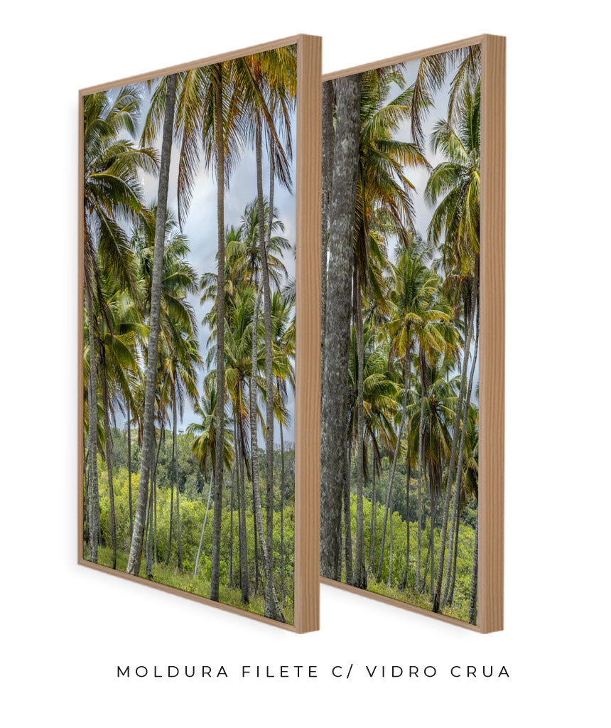 Quadro Decorativo Coqueiros Sépia -Dupla