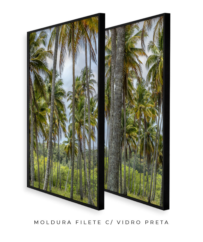 Quadro Decorativo Coqueiros Sépia -Dupla