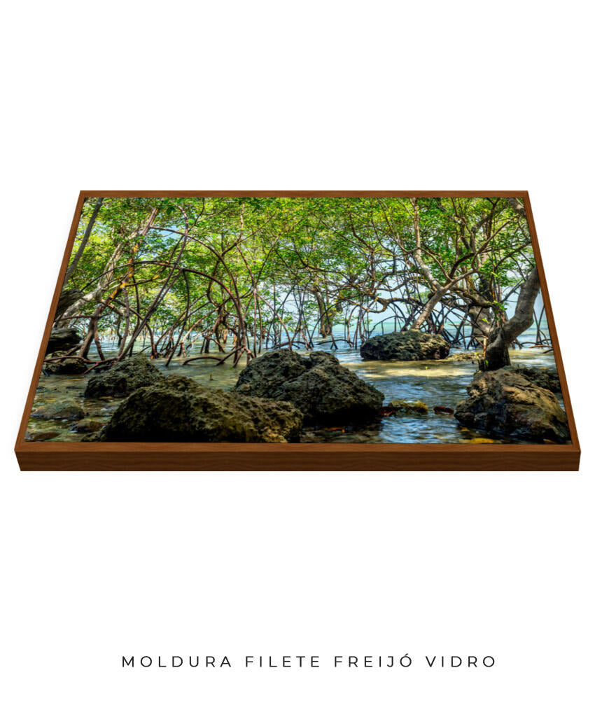 Quadro Decorativo Árvores e Galhos - Pedras e árvores