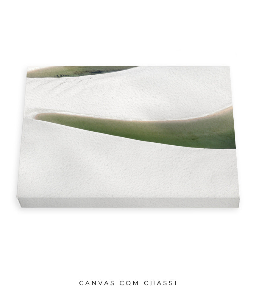 Quadro Decorativo Abstrato e curvas -Tons Branco, Cinza e Verde - Horizontal