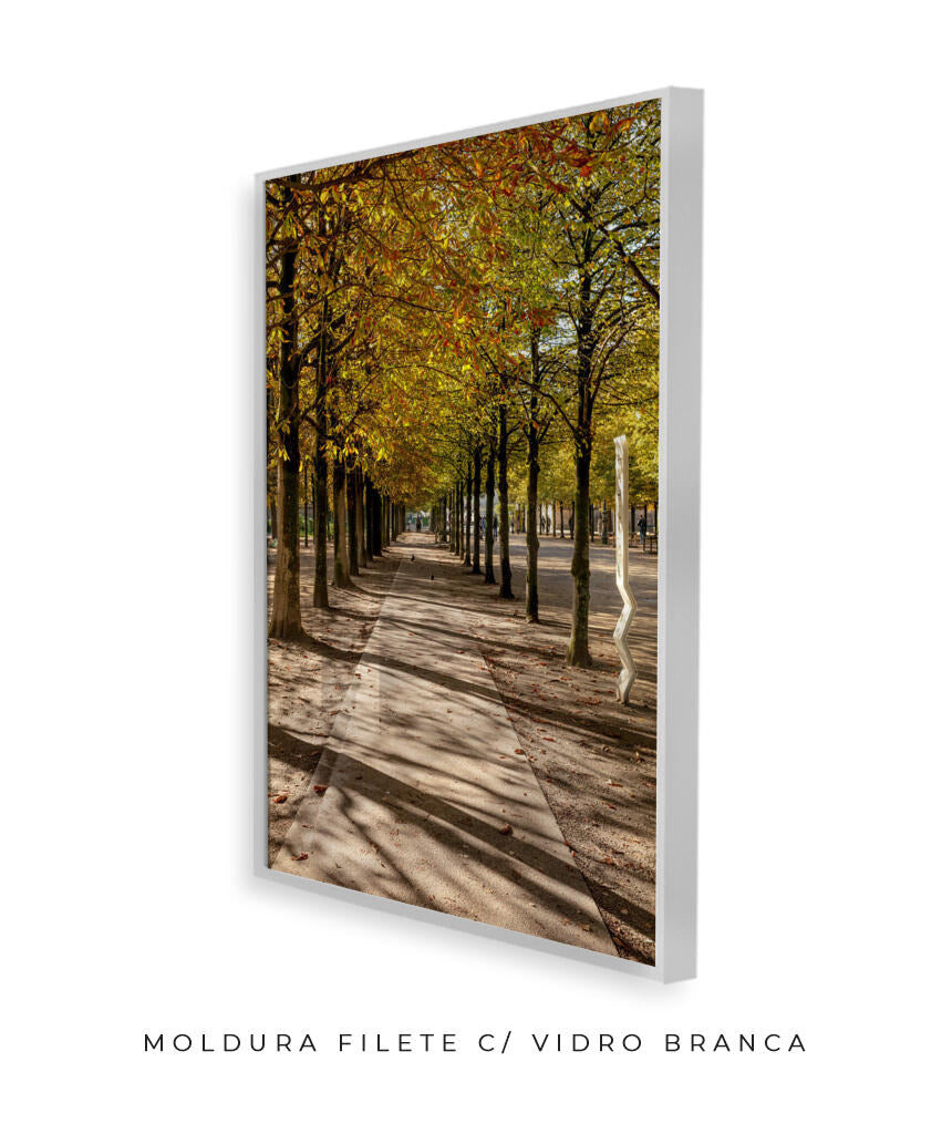 Quadro Decorativo Árvores e Galhos - Espaço para caminhada