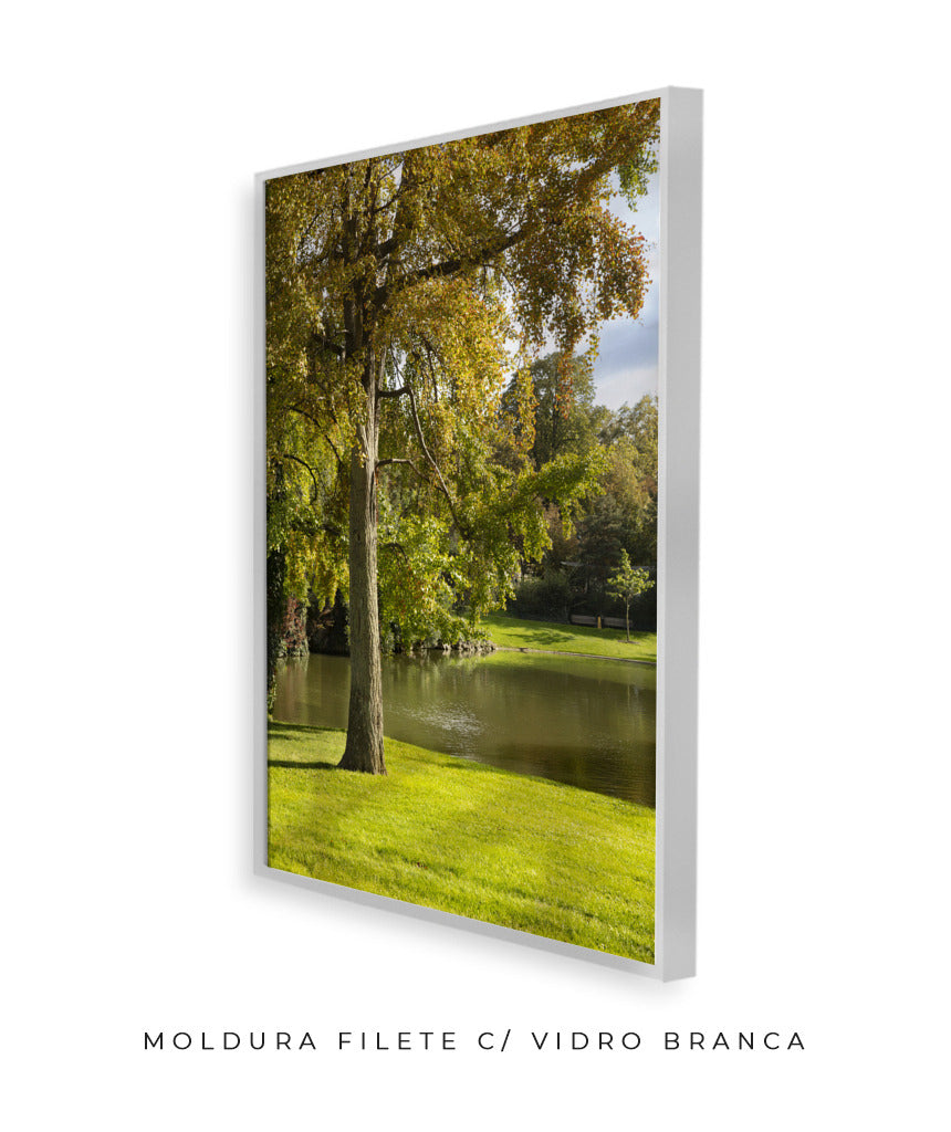 Quadro Decorativo Portais Natureza