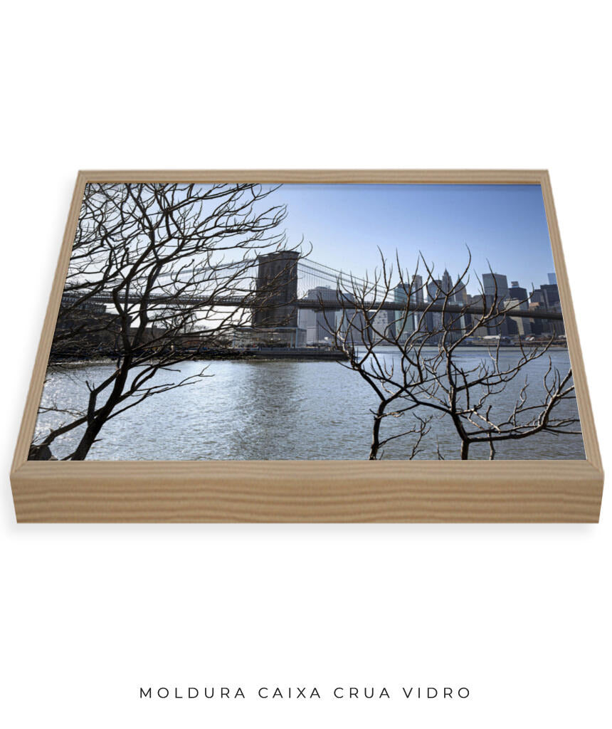 Quadro Decorativo Lago de Nova York