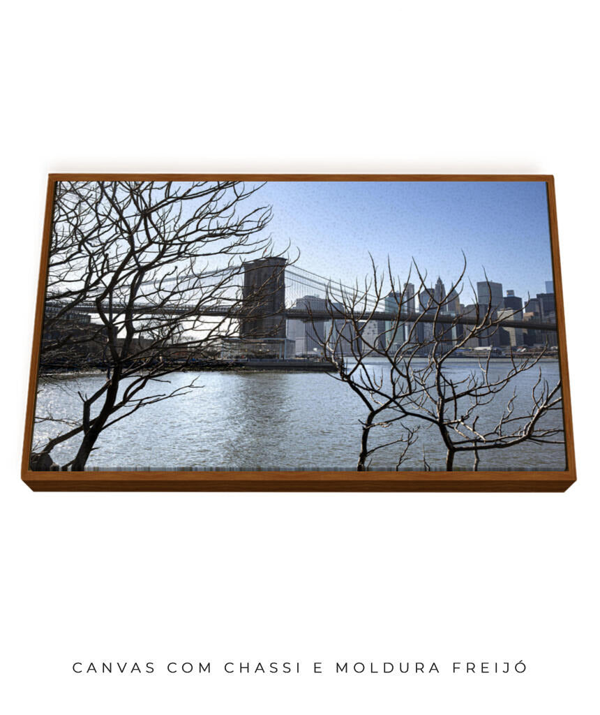 Quadro Decorativo Lago de Nova York
